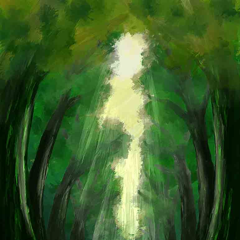 鬱蒼と生い茂る森