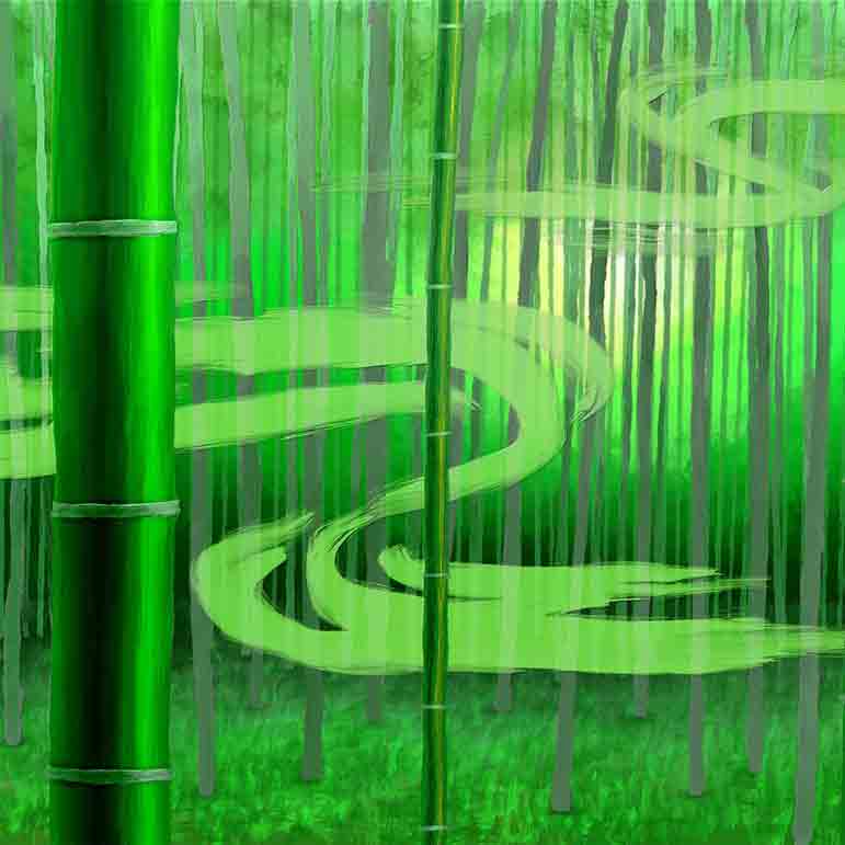Bamboo Forest